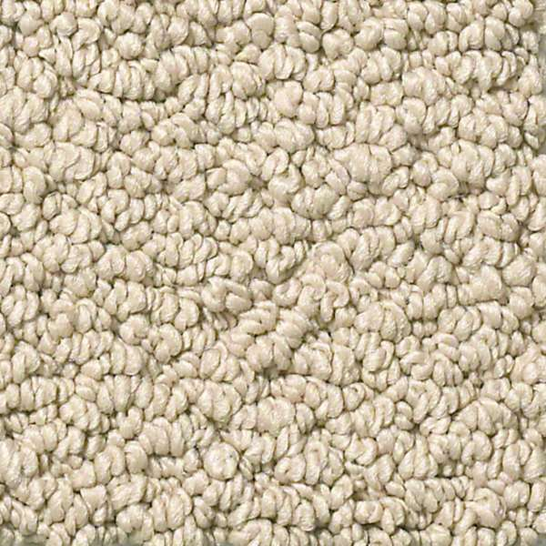 Shaw Floors Truly Relaxed Loop Latte SHAW