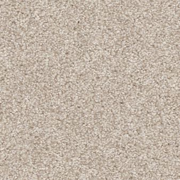 Shaw Floors Harmonious III Champagne Toast SHAW