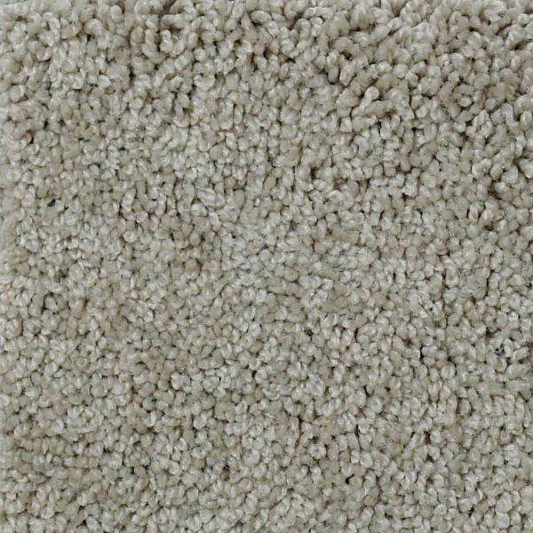 Shaw Floors My Choice III Natural SHAW