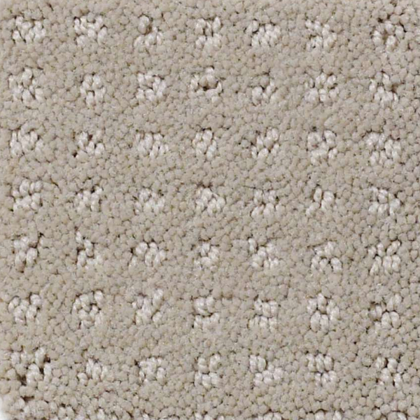 Shaw Floors My Choice Pattern Natural SHAW