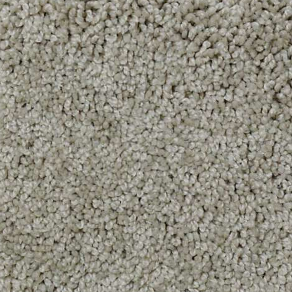 Shaw Floors My Choice II Natural SHAW