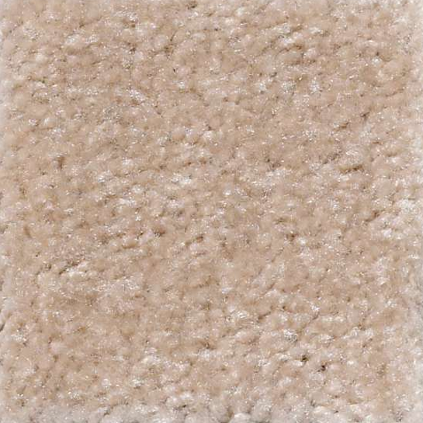 Shaw Floors Zipp Camel Dust SHAW