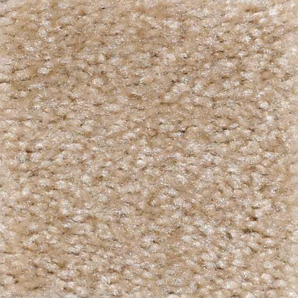 Shaw Floors Zipp Young Oak SHAW