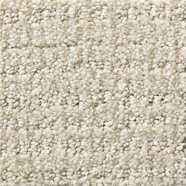 Shaw Floors Sensible Now Studio Taupe SHAW