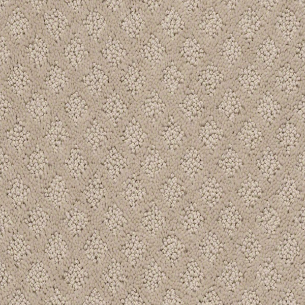 Shaw Floors Entwined With You Studio Taupe SHAW
