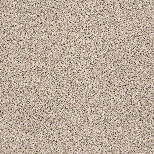 Shaw Floors Take The Floor Accent I Luna SHAW