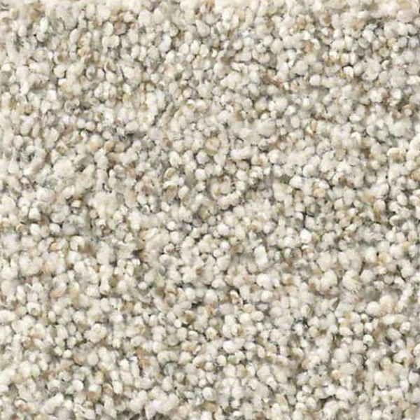 Shaw Floors Make It Work Nature's Essentials SHAW