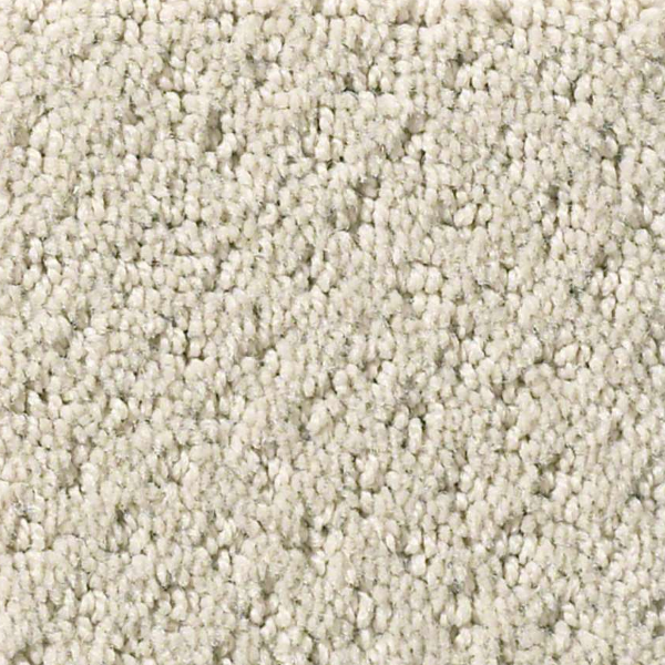 Shaw Floors Infallible Instinct Quiet Moment SHAW