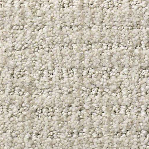 Shaw Floors Sensible Now Quite Moment SHAW