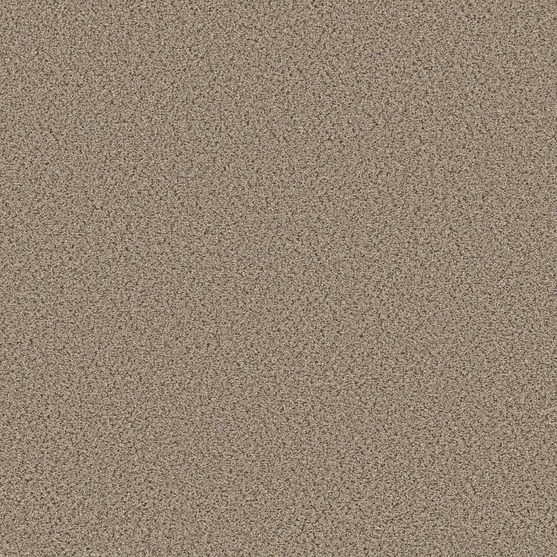 Shaw Floors Abilene I Twine SHAW