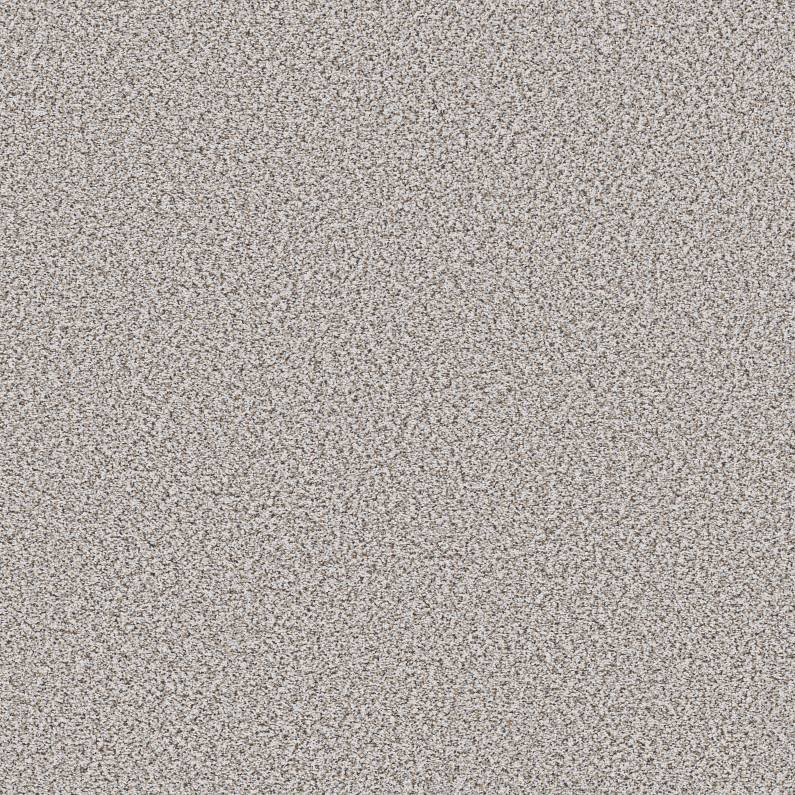 Shaw Floors Abilene I Whitewash SHAW