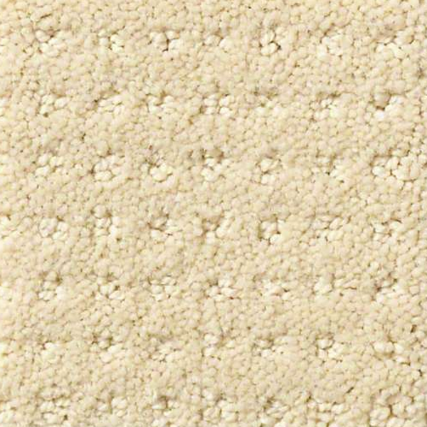 Shaw Floors Perpetual Move Treasure SHAW