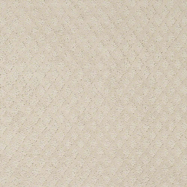 Shaw Floors Entwined With You Sentimental SHAW