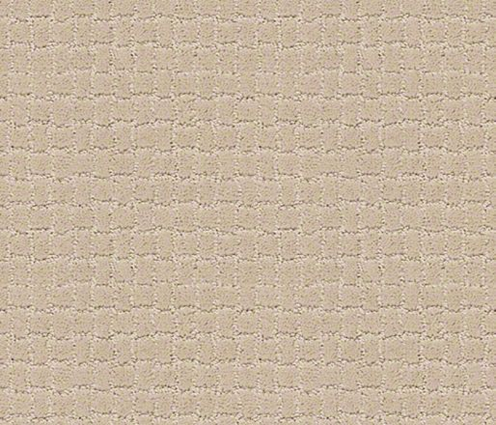 Tuftex Pawstruck Toffee Cream SHAW