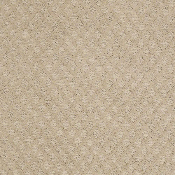 Shaw Floors Entwined With You Boutique SHAW