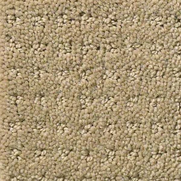 Shaw Floors Perpetual Move Safari SHAW