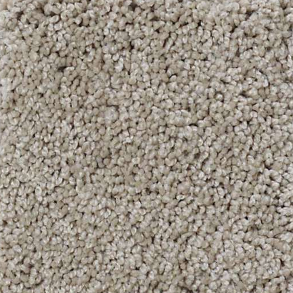 Shaw Floors Keen Senses II Espresso SHAW