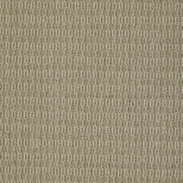 Philadelphia Commercial Restyle Amend Shaw