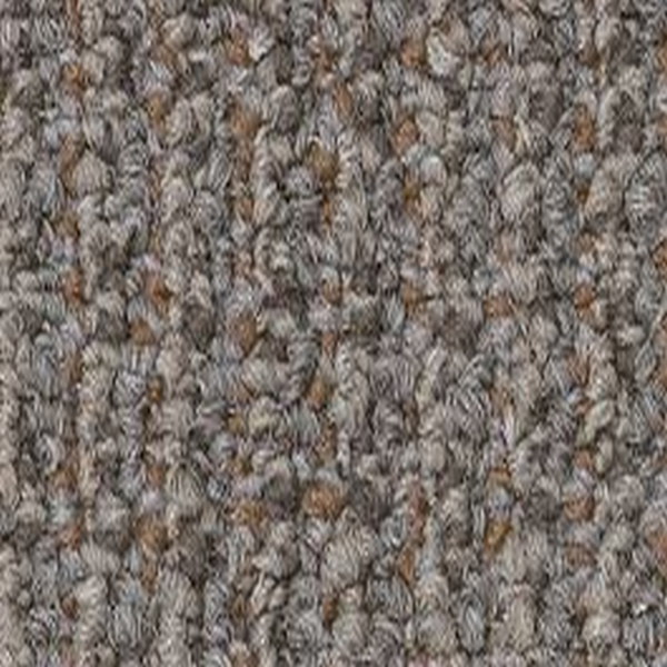 Philadelphia Commercial Free Press Publisher Shaw