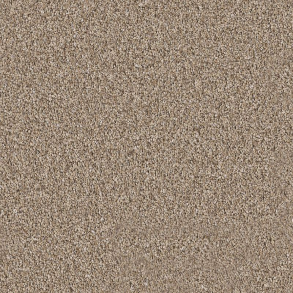 Shaw Floors Elevated II Summer Straw SHAW