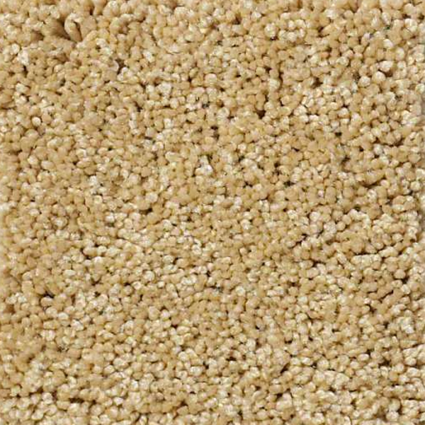 Shaw Floors Enduring Comfort II Sun Shower SHAW