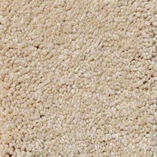 Shaw Floors Sandy Hollow Classic III Marzipan SHAW