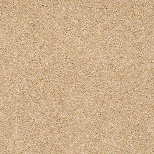 Shaw Floors Sandy Hollow Classic II Corfield SHAW