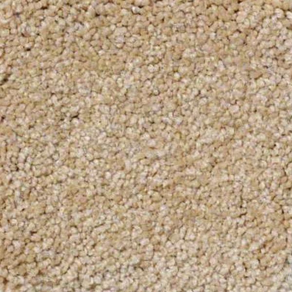 Shaw Floors Sandy Hollow Classic III Cornfield SHAW