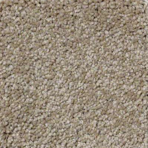 Shaw Floors Sandy Hollow Classic I Sahara SHAW