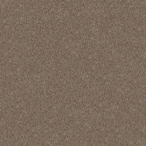 Shaw Floors Yes You Can III 12' Honeycomb SHAW