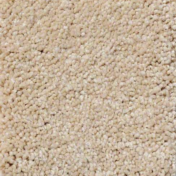 Philadelphia Commercial Everyday Comfort (S) Honeycomb Shaw