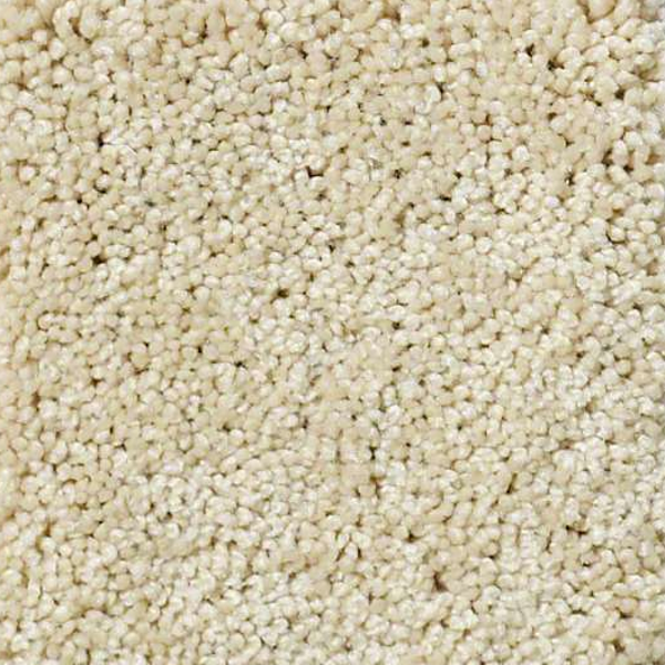 Shaw Floors Enduring Comfort III Chamois SHAW