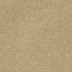 Shaw Floors Enduring Comfort II Solar SHAW