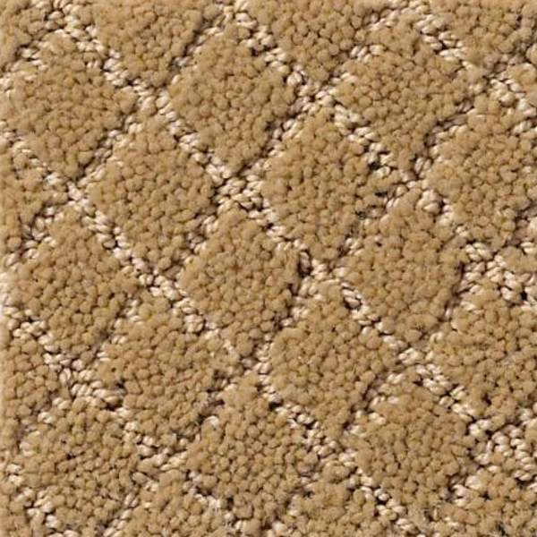 Tuftex Pawnache Golden Straw SHAW