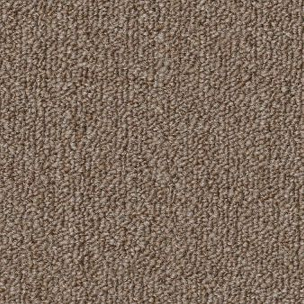 Philadelphia Commercial Profusion 26 Ample Shaw