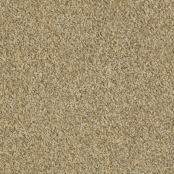 Philadelphia Commercial Franchise II 28 Woodland Shaw