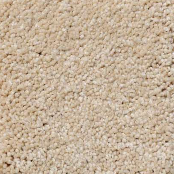 Shaw Floors Magic At Last IV 15' Custard SHAW