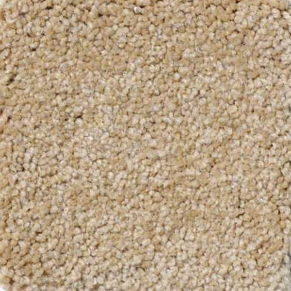 Shaw Floors Magic At Last II 12' Blonde SHAW