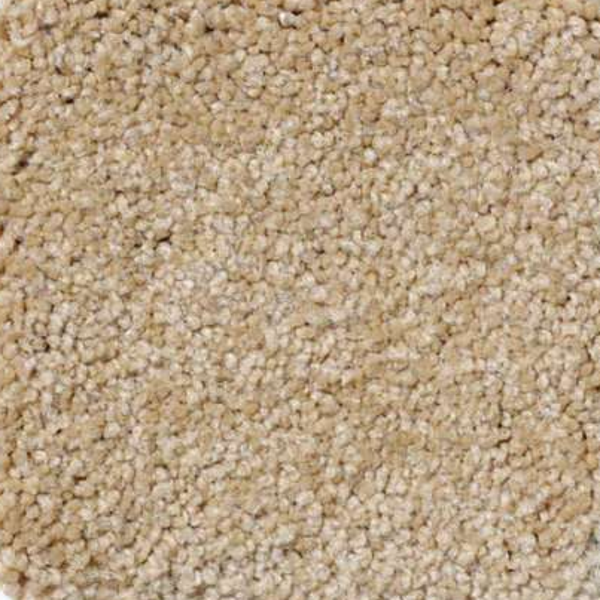 Shaw Floors Magic At Last IV 15' Blonde SHAW