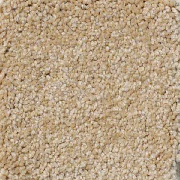 Shaw Floors Magic At Last I 15' Blonde SHAW