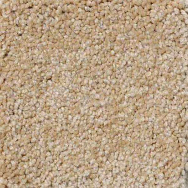 Shaw Floors Magic At Last II 15' Blonde SHAW