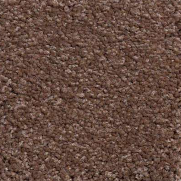 Shaw Floors Magic At Last II 12' Thoroughbred SHAW