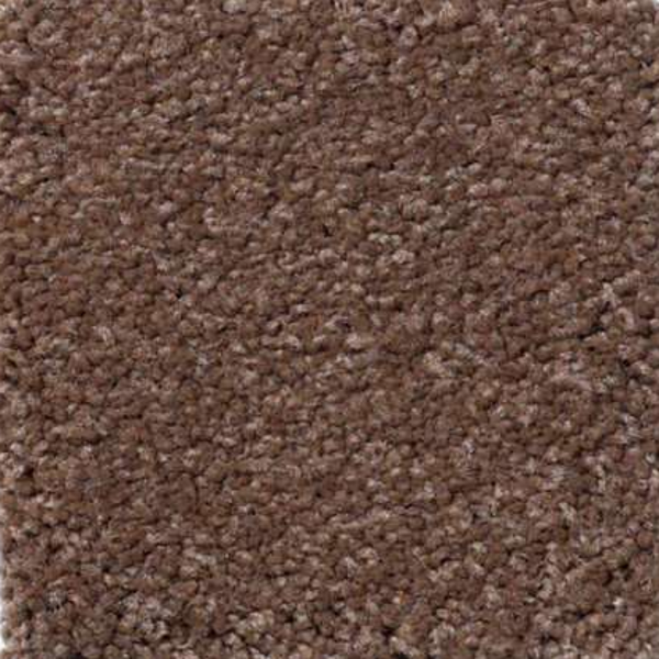 Shaw Floors Magic At Last II 15' Thoroughbred SHAW