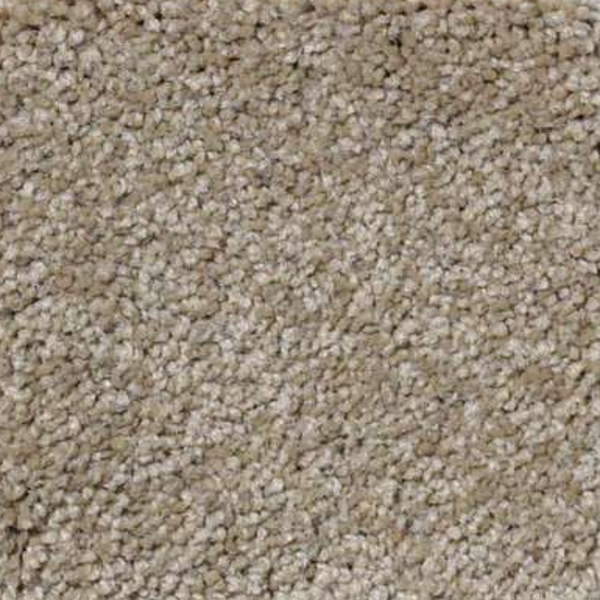 Shaw Floors Magic At Last IV 15' Cardboard SHAW