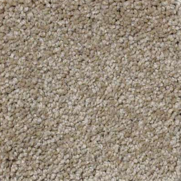 Shaw Floors Magic At Last I 15' Cardboard SHAW