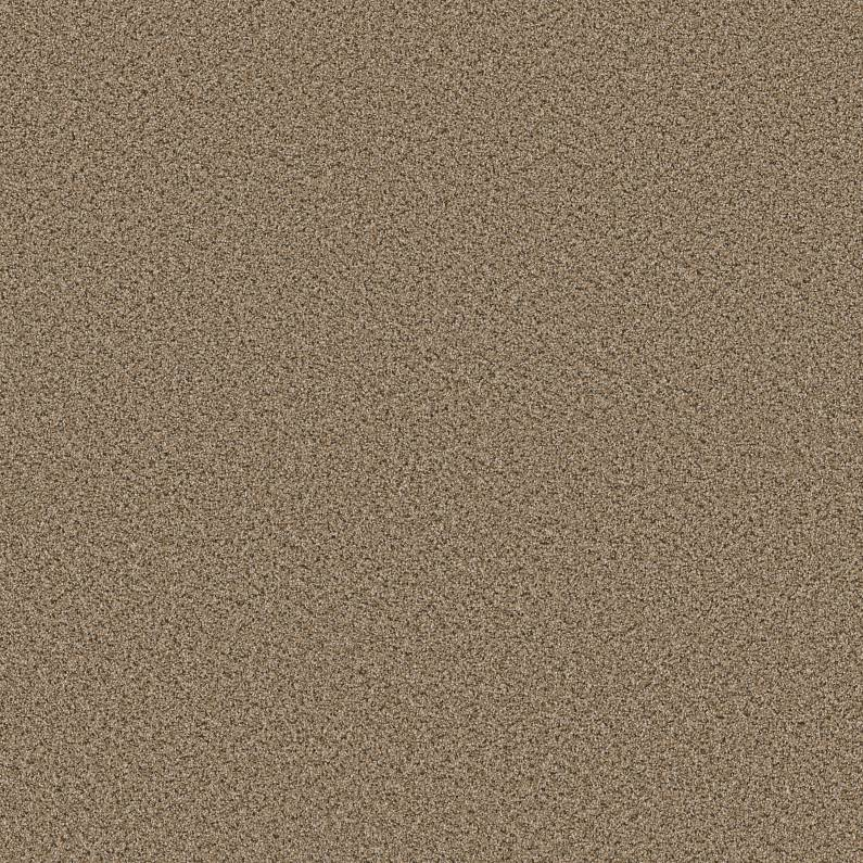 Shaw Floors Abilene I Bridle Leather SHAW