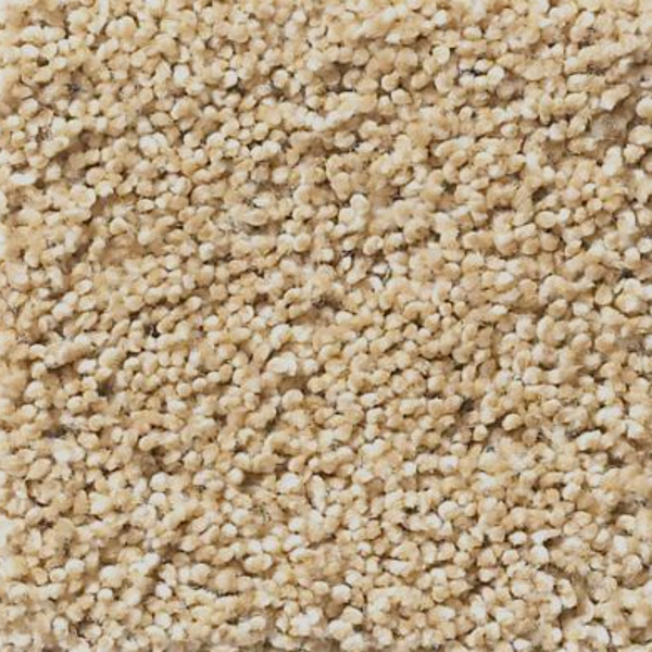 Tuftex Acadia Park Wicker SHAW