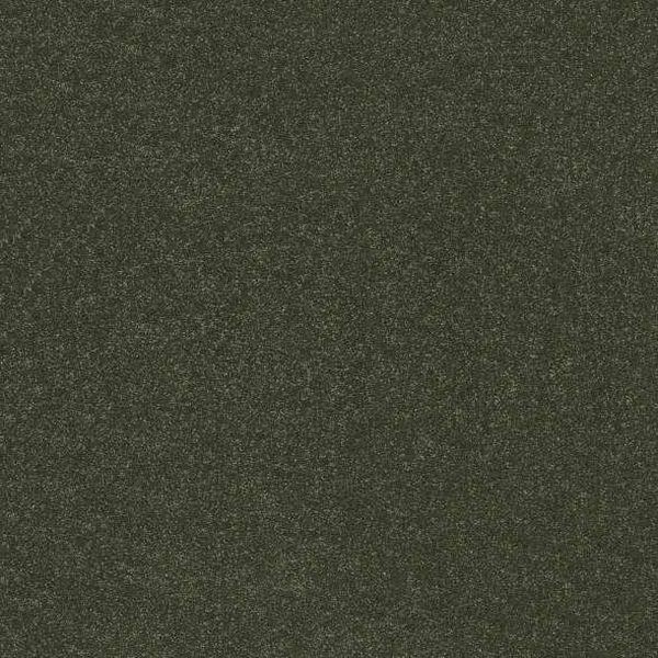 Shaw Floors Hard At Play III 12' Rerooted Nature SHAW