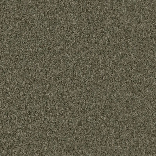 Shaw Floors Velvet Touch II Rerooted Nature SHAW