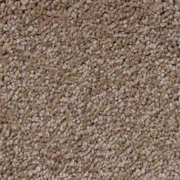 Shaw Floors Sandy Hollow Classic I Mojave SHAW